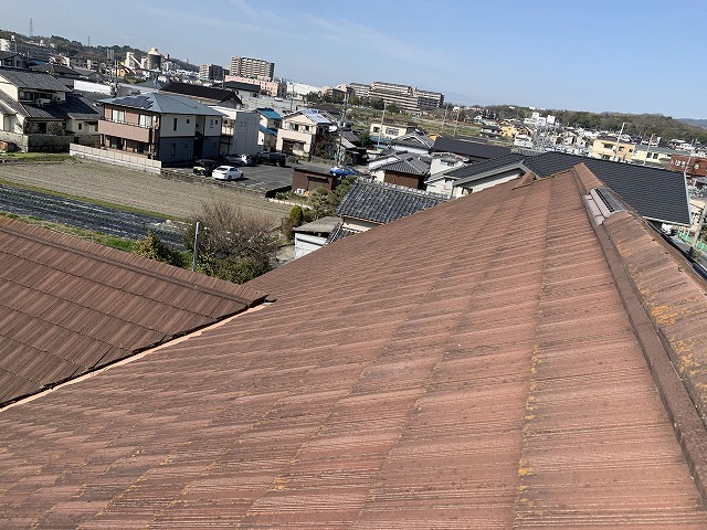 モニエル